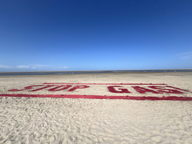 Grüne Kreisverbände im Norden verurteilen Vorgehen der EWE scharf – Gasdeal vor Borkum empört Küstenregion (PM)