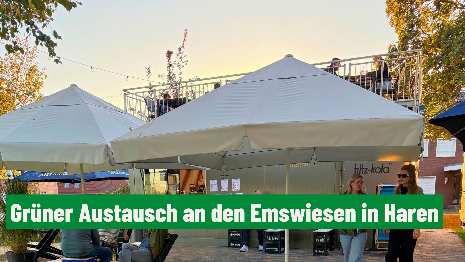 Harener Grüne treffen sich zum Austausch bei den Emswiesen